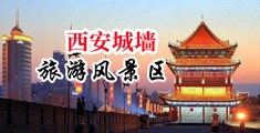 狠插少妇白浆精品中国陕西-西安城墙旅游风景区